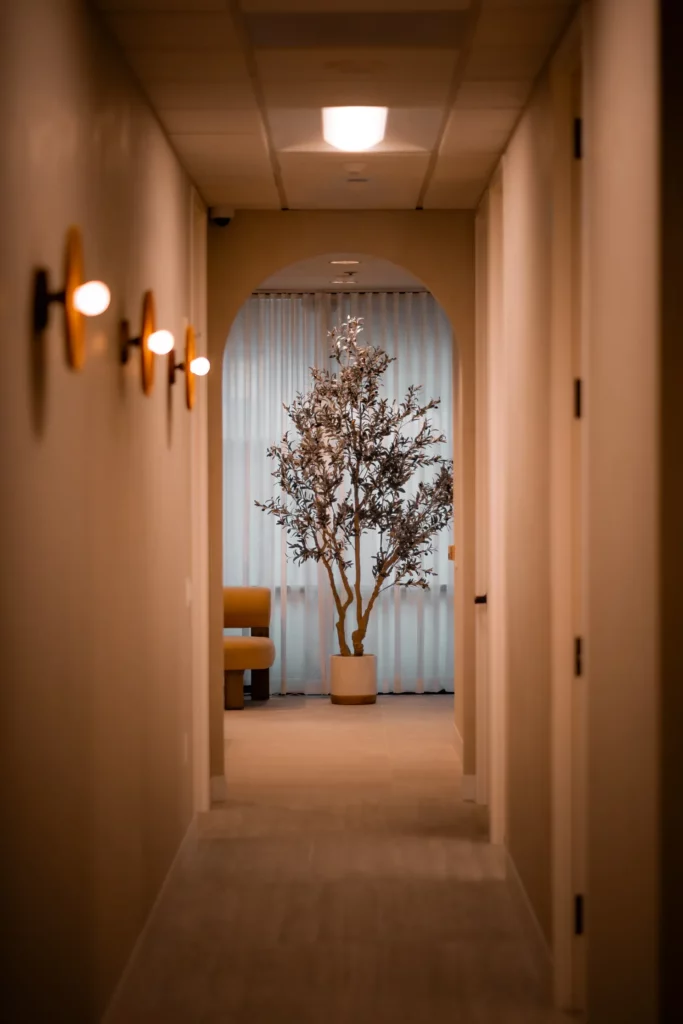 Modern indoor hallway with warm lighting, wall sconces on the left, and a potted decorative tree placed in front of sheer curtains at the end of the corridor.